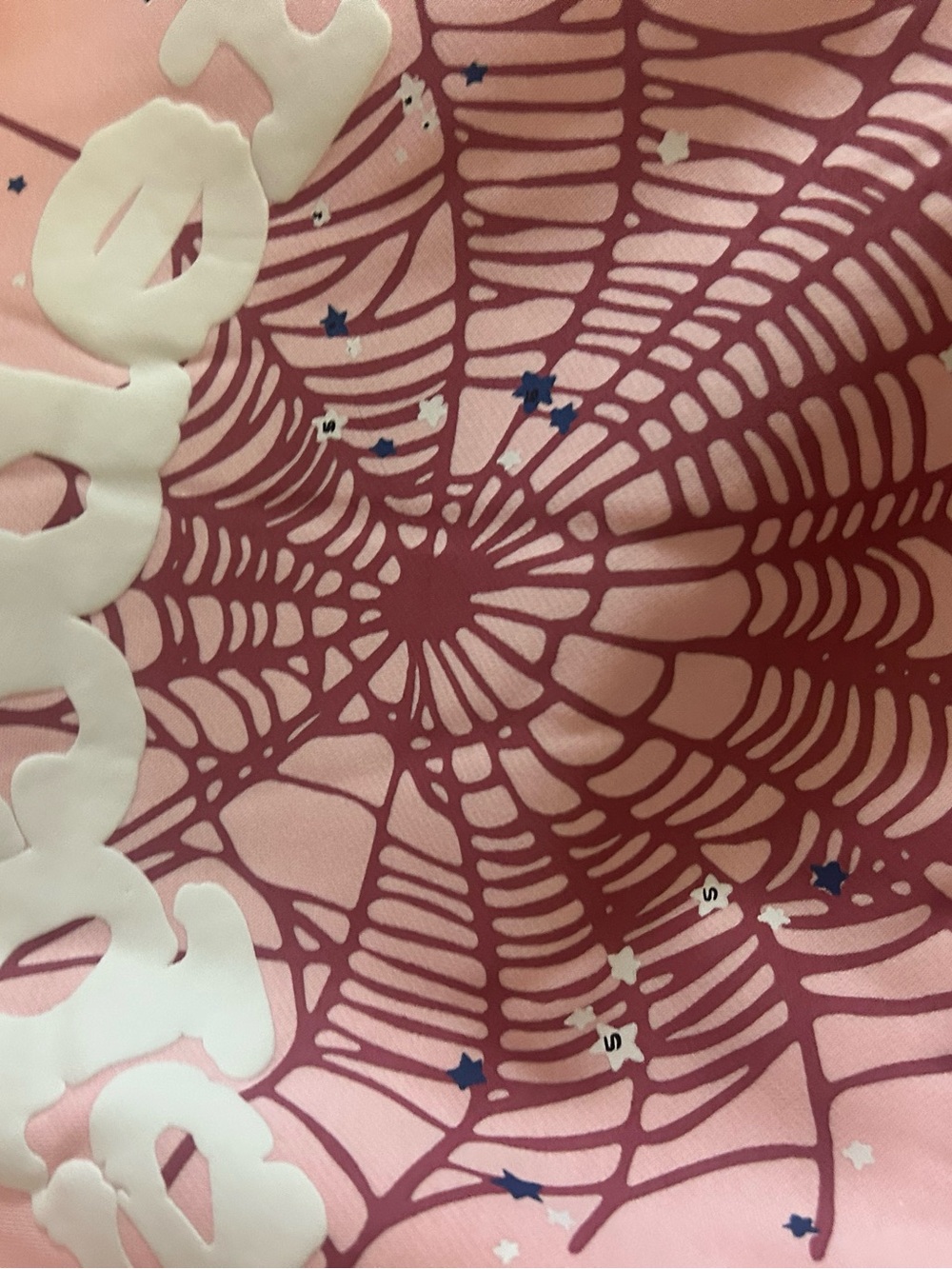 Women’s Pink Graphic Sweatshirt with Web Print